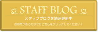 STAFF BLOG