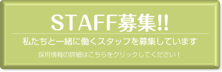 STAFF募集!!